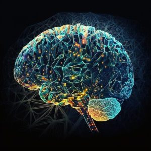 OTAK, PERASAAN, DAN PERSEPSI: TRIO YANG MEMBENTUK DIRI KITA