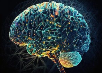 OTAK, PERASAAN, DAN PERSEPSI: TRIO YANG MEMBENTUK DIRI KITA