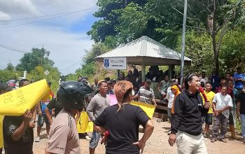 Massa Aksi Tutup Jalan, Tuntut Hak Plasma dan Kepastian Lahan