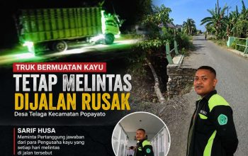 Sarif Husa Geram, Pengusaha Kayu Dinilai Enggan Perbaiki Jalan Rusak yang Setiap Hari Dilintasi